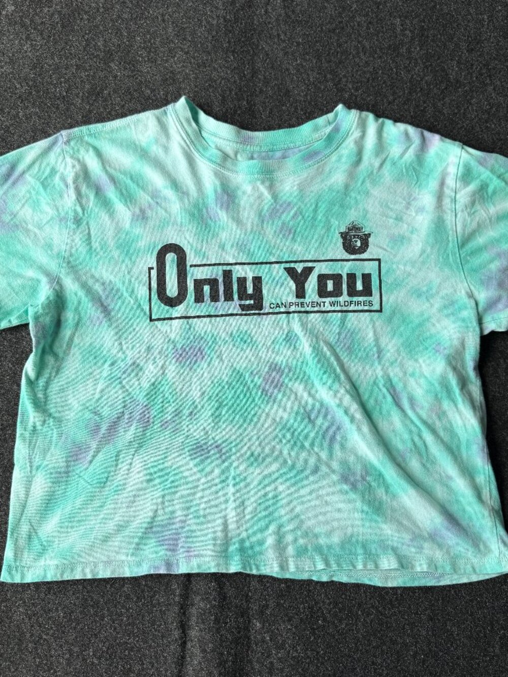 Smokey Bear Tie Dye Cropped Graphic T Shirt Medium